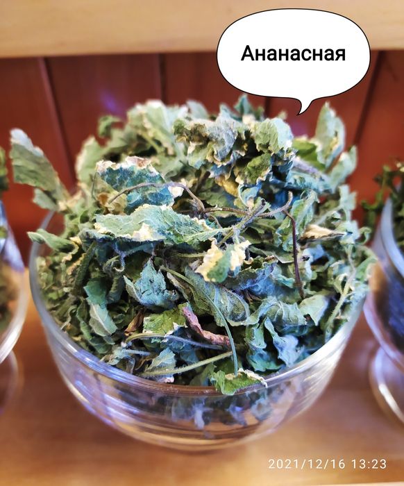 Екзотична мʼята сушена, чай