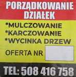 Porządkowanie działek, wycinka drzew,karczowanie, mulczowanie