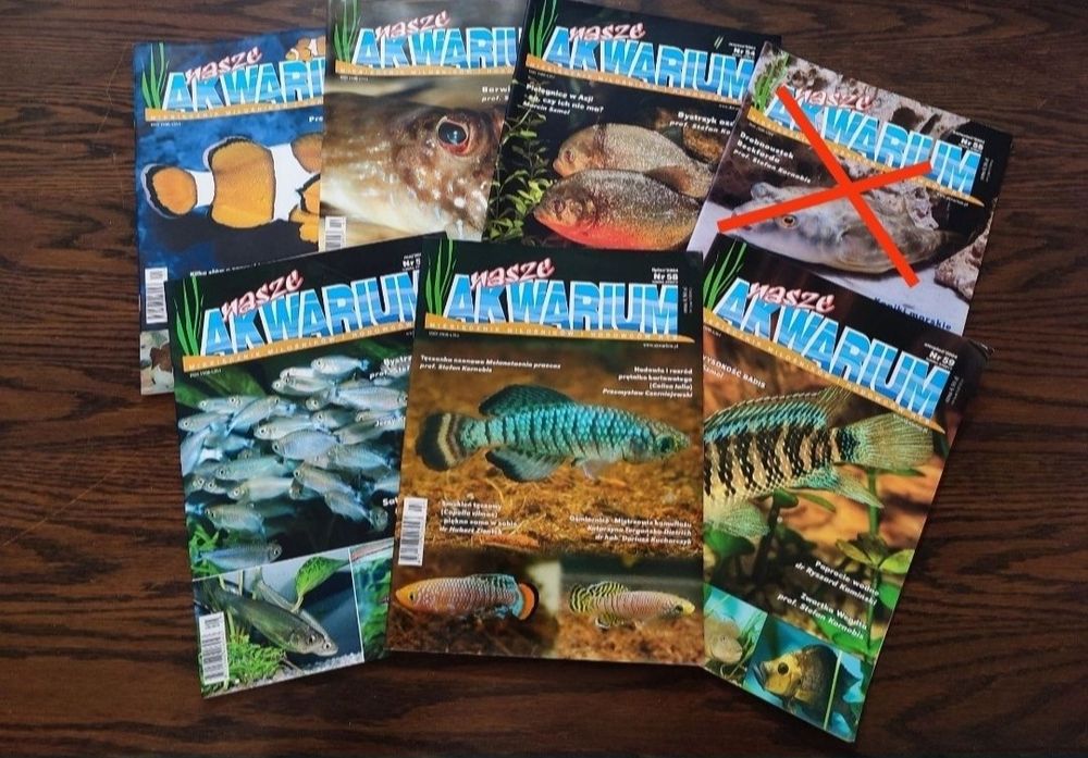 Nasze akwarium magazyn akwarystyczny rocznik 2004
