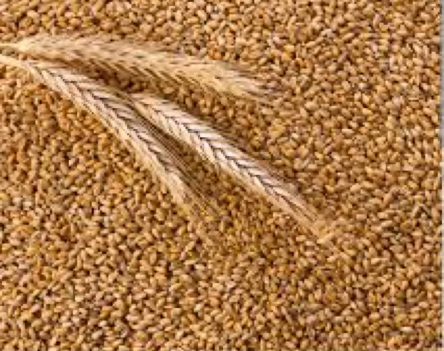 Пшениця м'яка 2 класу