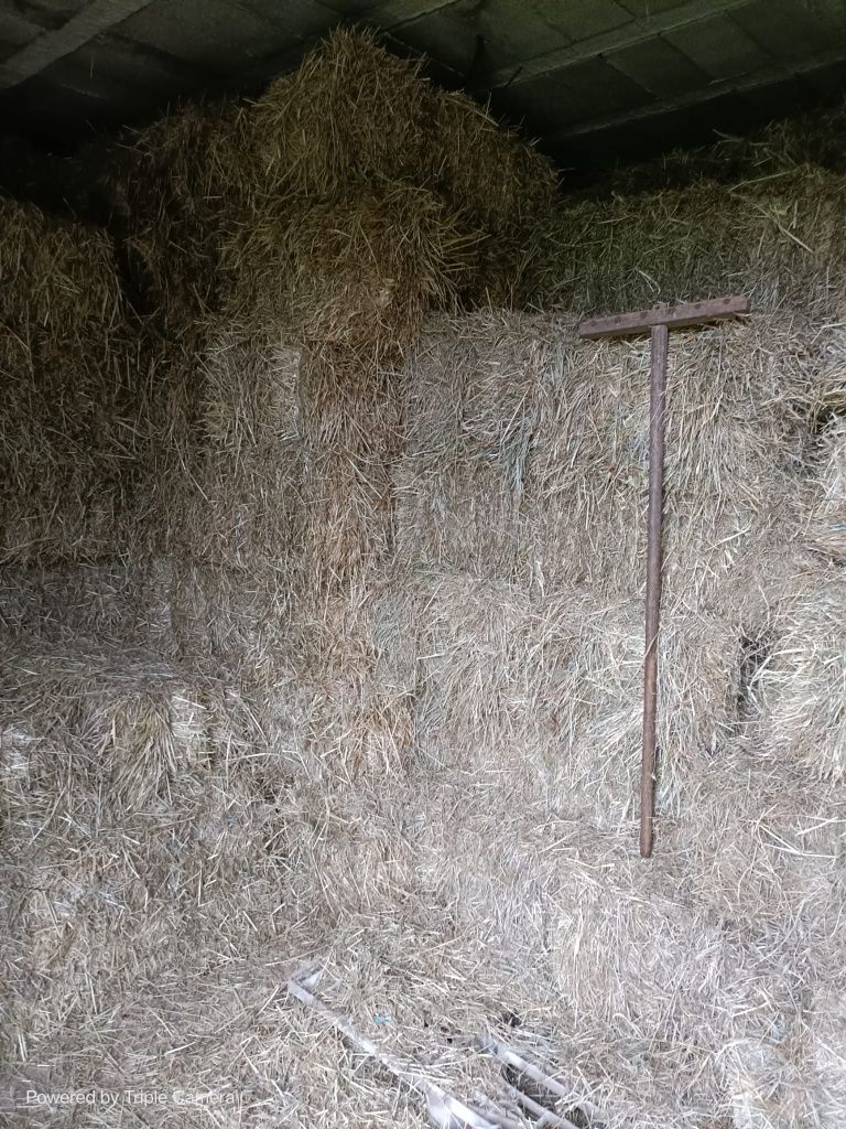Fardos de palha .