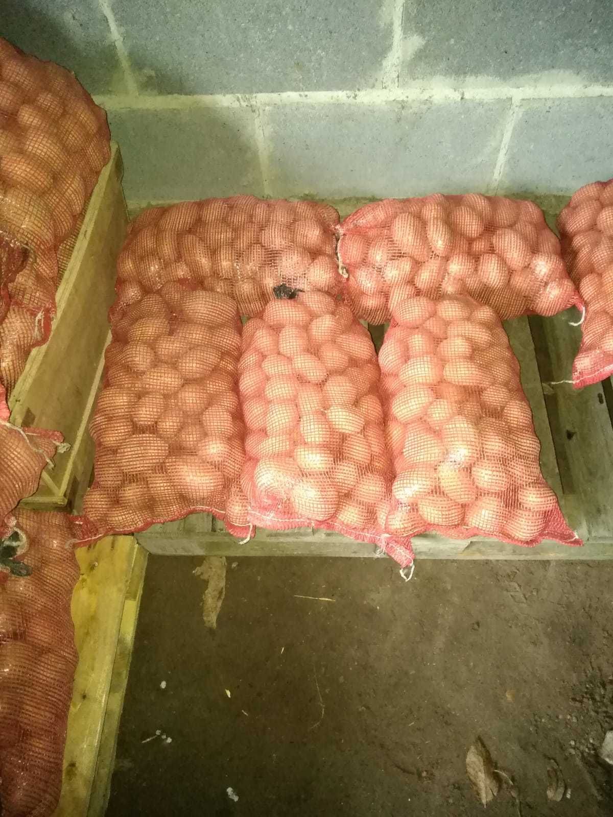 Orzechy Włoskie 2023r. Ziemniaki, jaja wiejskie.