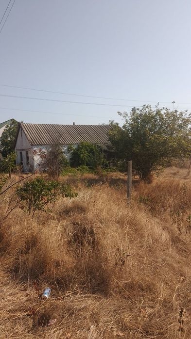Продамо ділянку 25 соток + сарай