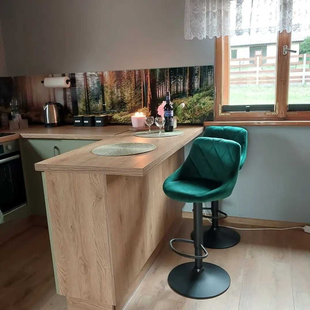 Domek całoroczny w otoczeniu lasów i jezior