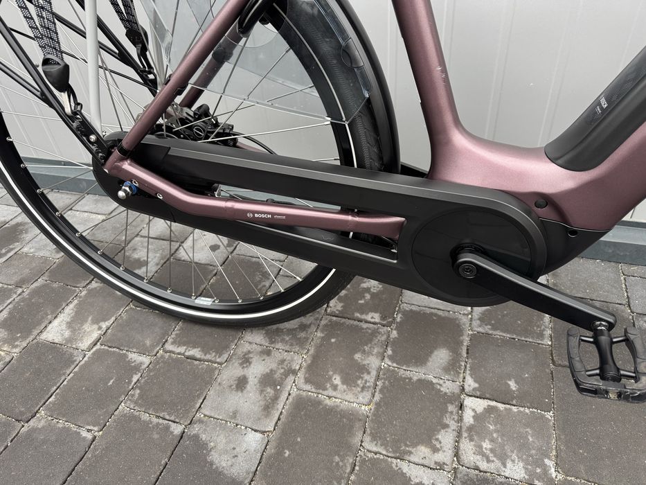 BATAVUS Finez E-go Power mata Sangria