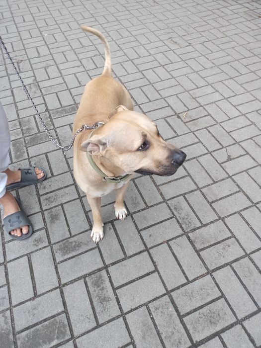 Шукаю дівчинку для в,зки