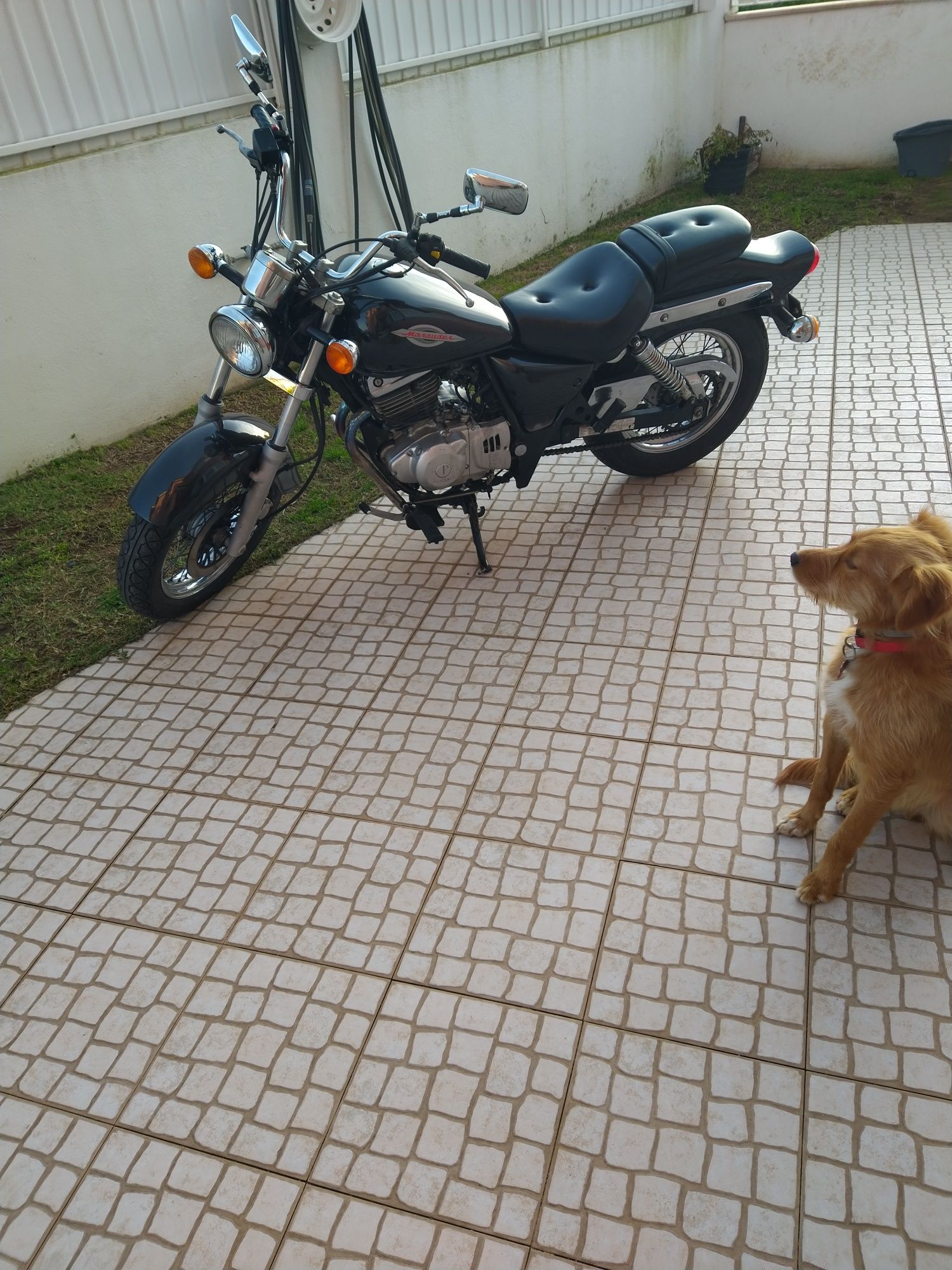 Mota Suzuki marauder