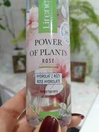 Rose Hydrolate Hydrolat różany nowy Power of plants