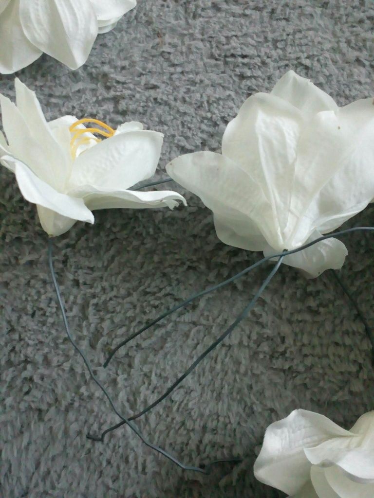 Amarylis główka wyrobowa 16 cm - 10 szt. kwiaty z plamkami