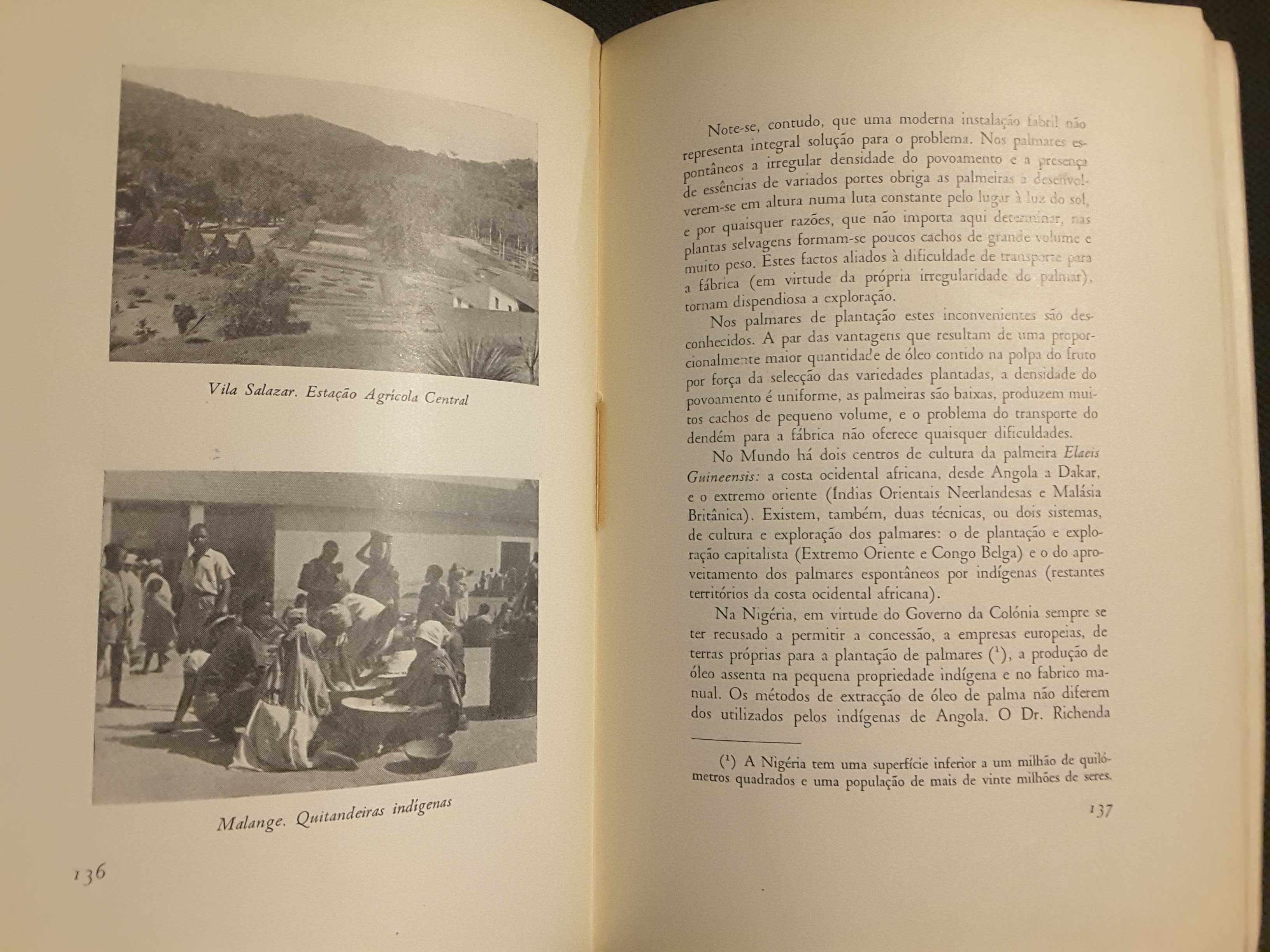 Pensamento Económico / Perspectivas Económicas de Angola