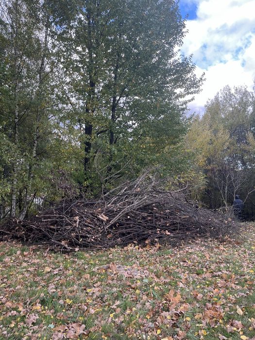 Drewno chrust galezie na opał