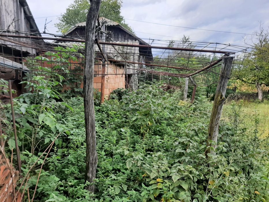 Продається господарство с.Боянчук Заставнівського р-ну.