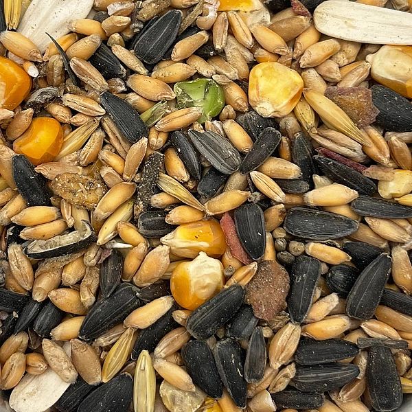 5kg Karma zimowa dla ptaków zimujących podstawowa mix ziarno słoneczni