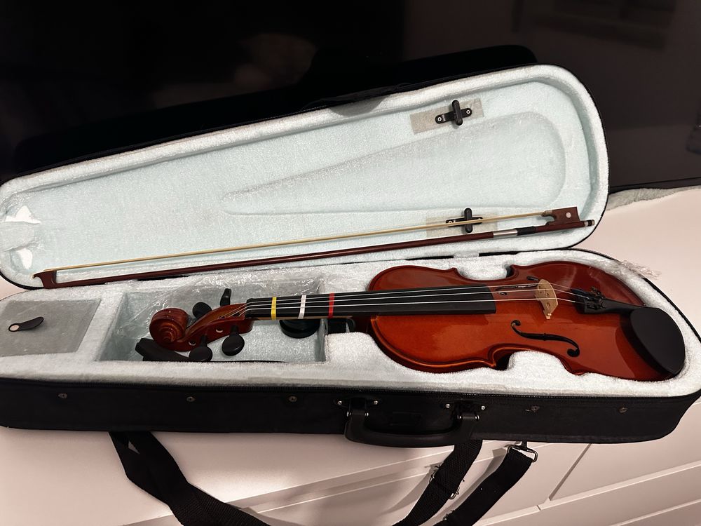 Violino novo 75€