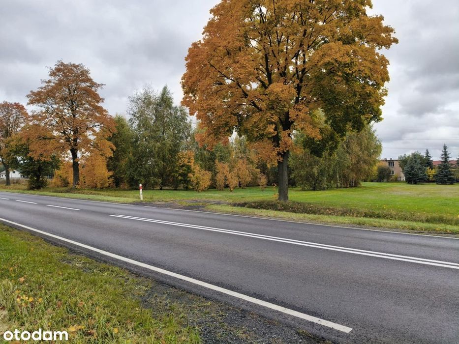 Atrakcyjna nieruchomość z domem pod Koninem/Słupcą
