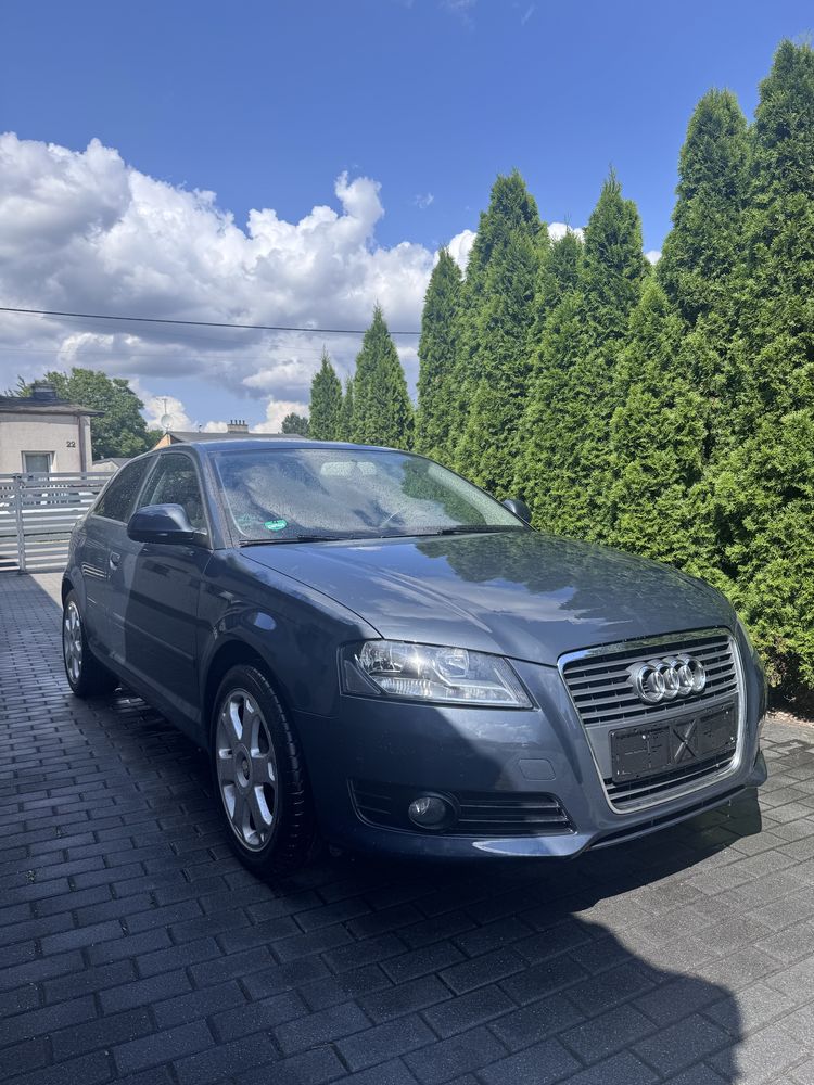 Audi A3 8P 1.9 TDI Lift!