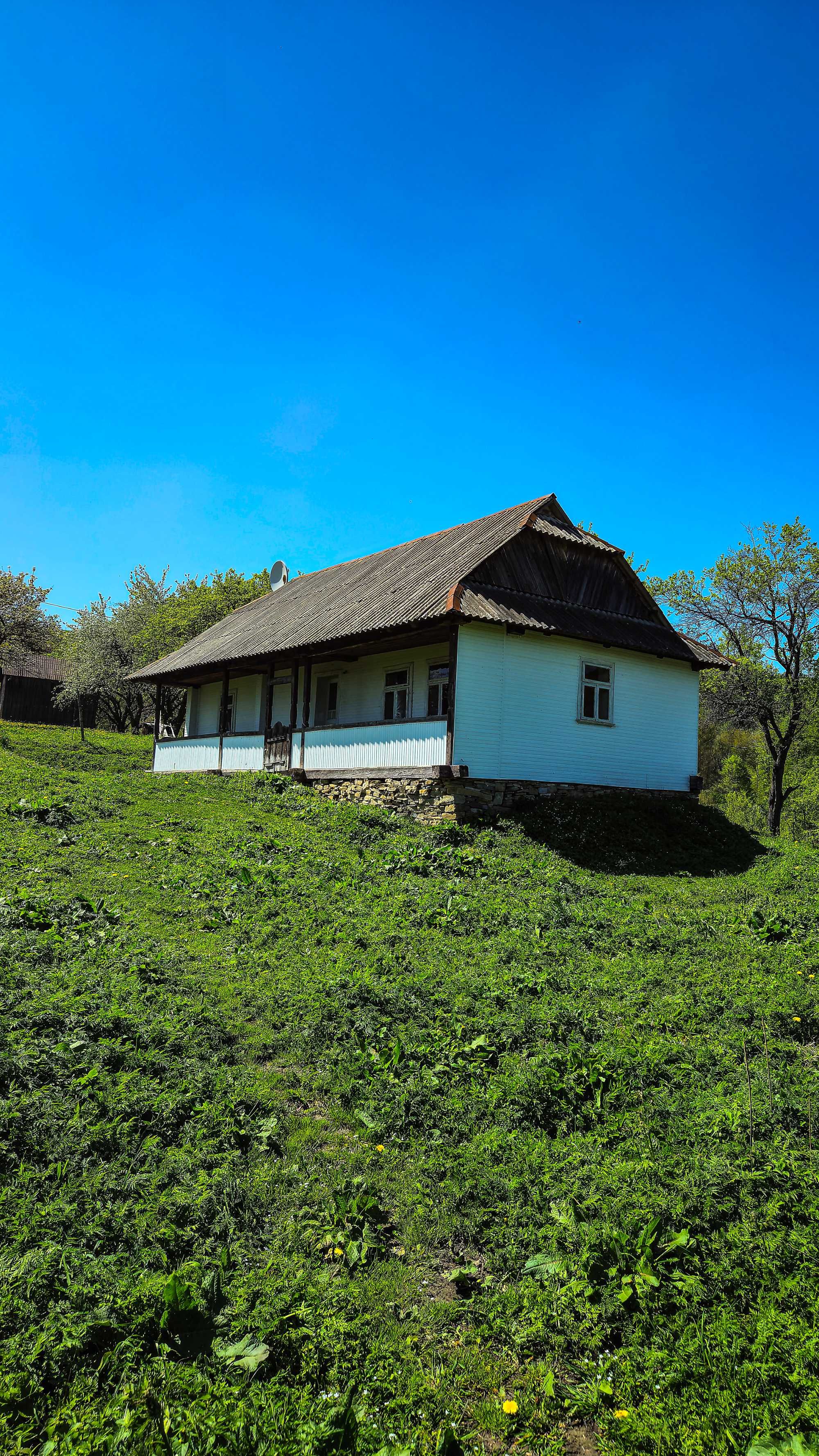 Продам Мальовничу ділянку в Селі Річка – усамітнення серед природи