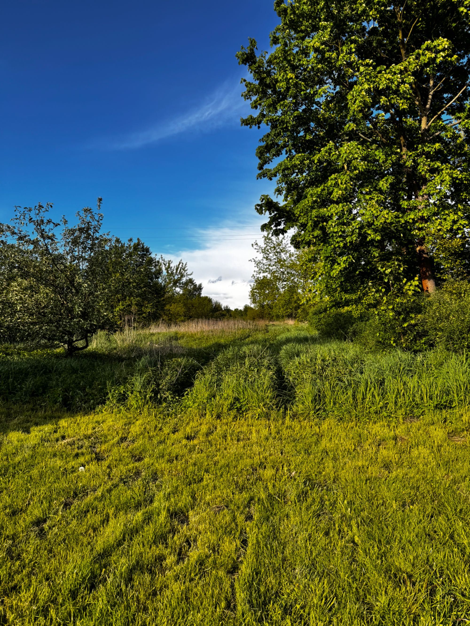 Bez prowizji Dom z linią brzegową rzeki pod Warszawą | 3300 m2 działki