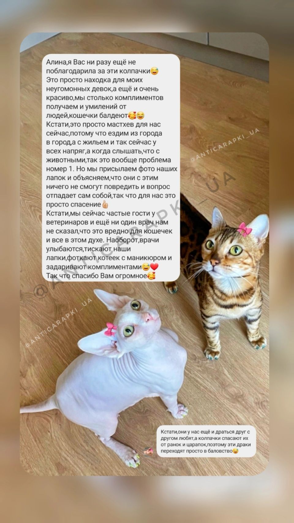 Антицарапки для котят котов кошек. Мягкие колпачки. Накладки на когти