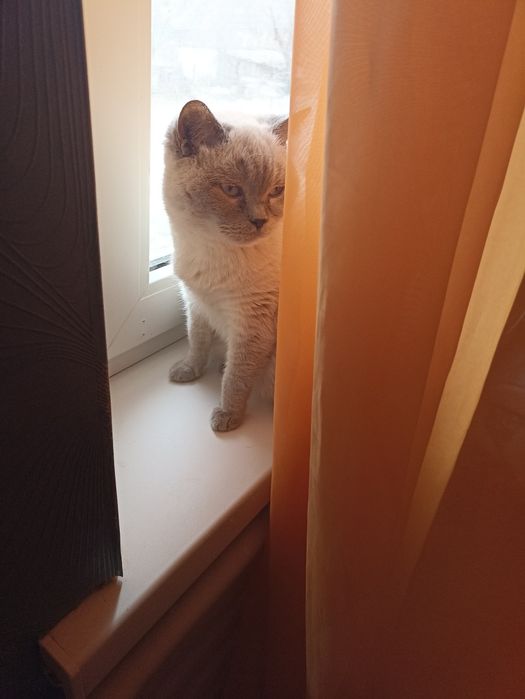 Зооотель, зоогостиница,зооняня,передержка