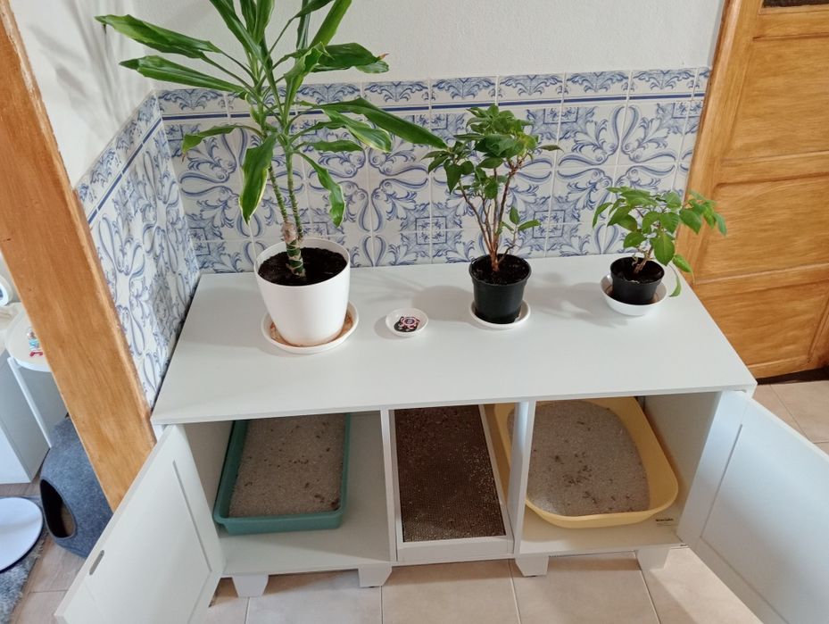 Armário para caixa de areia de Gatos – funcional e decorativo!