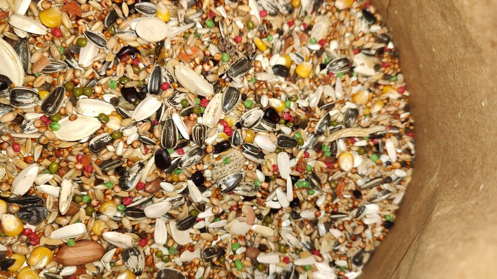 Karma dla Papug Dużych 10 kg Kampol