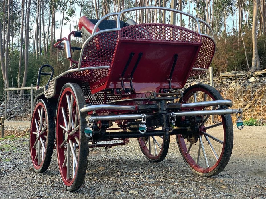 Charrete/ Maratona Competição