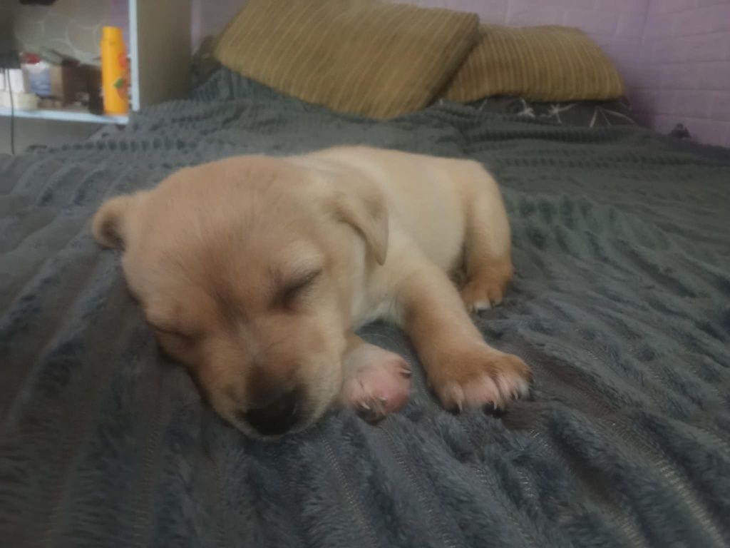 Маленький хлопчик шукає родину