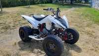 Yamaha YFM 250R YFZ Access Homologacja Kymco Inny Arctic Adly Aeon L7e