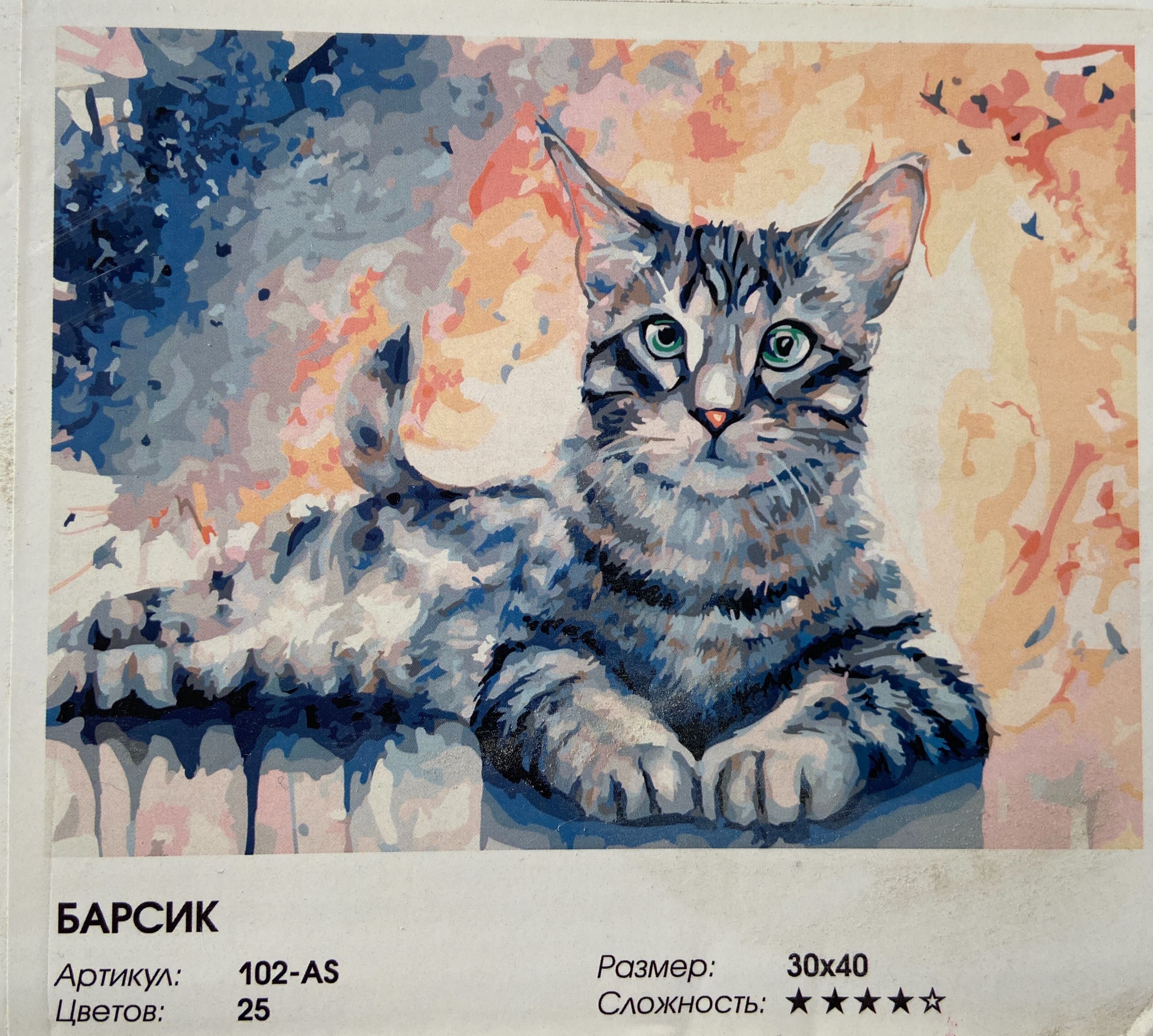 Картина по номерам кот "Барсик", 30x40 см. Белоснежка Арт. 102-AS