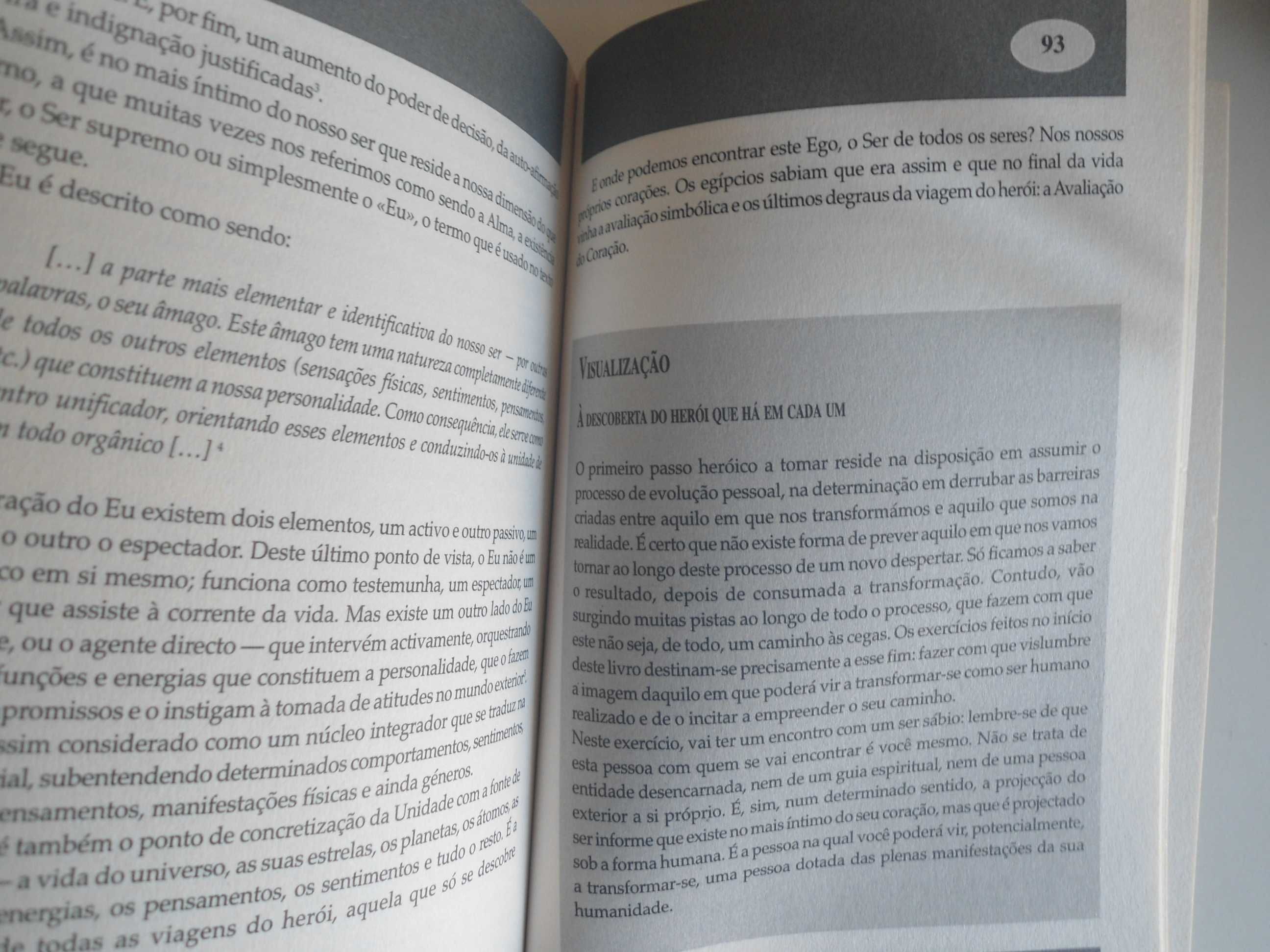 A Sabedoria dos Egípcios por Ron Bonewitz