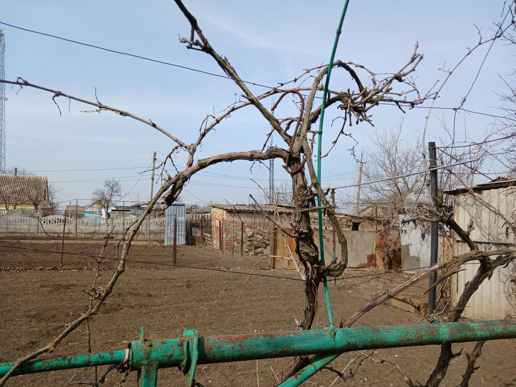 Продаю 3к/ квартира в доме ) село Антоновка ( Николаевской  обл.)