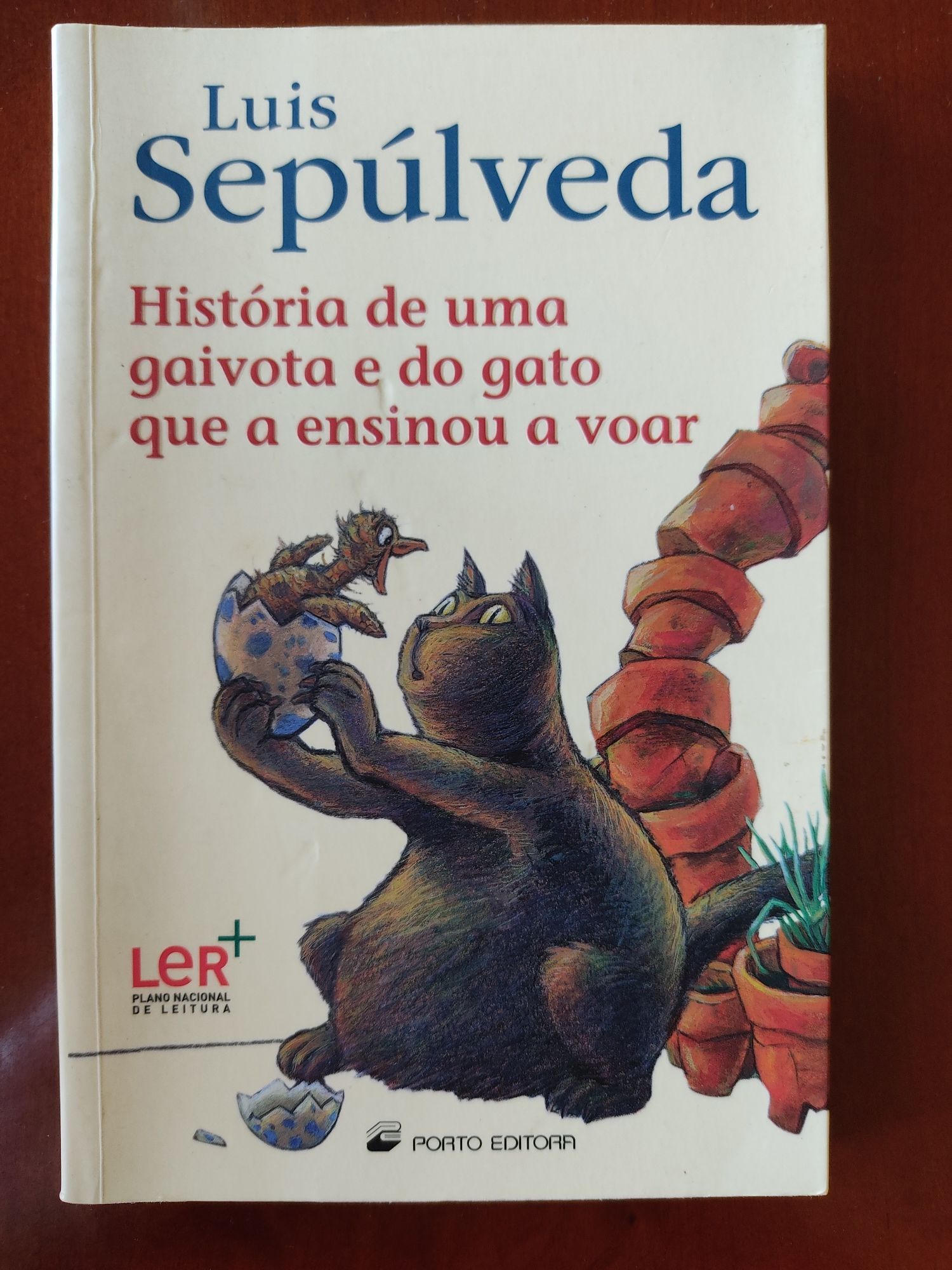 Livro junevil em muito bom estado