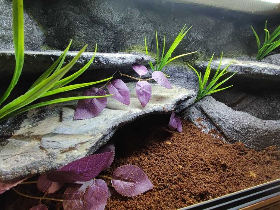 Terrarium tropikalne nr703 80/40/40 dla węża boa pyton DOSTĘPNE