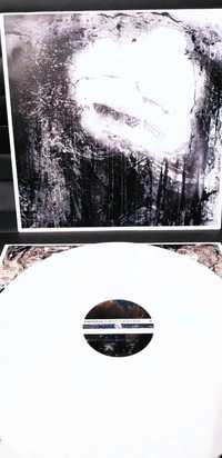 Winyl Radiohead A Moon Shaped Pool Płyta Winylowa LIMITOWANY Vinyl