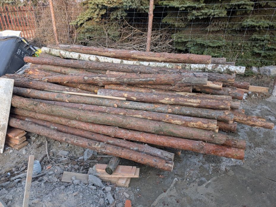 Stemple budowlane drewniane