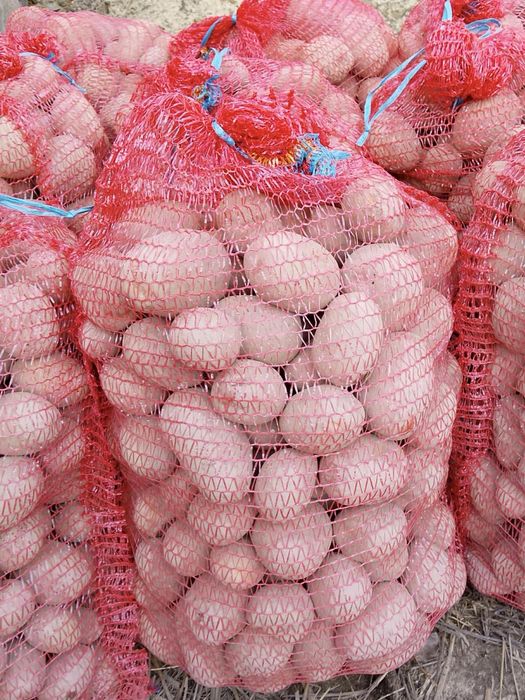 Ziemniaki z własnego gospodarstwa