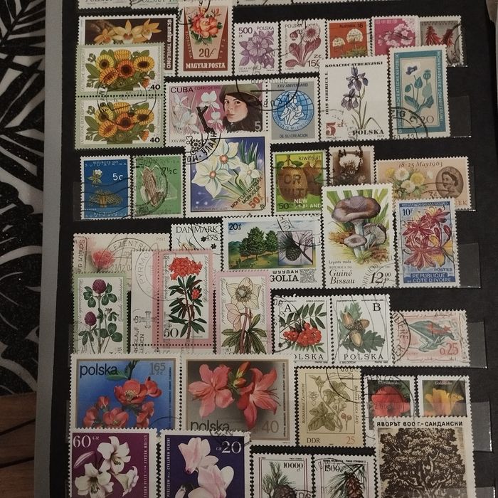 Zestaw znaczków flora