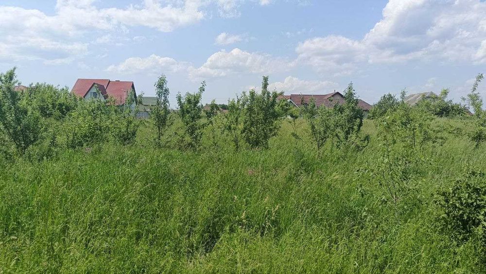 Продаж земельної ділянки в с. Березівка, Івано-Франківський район