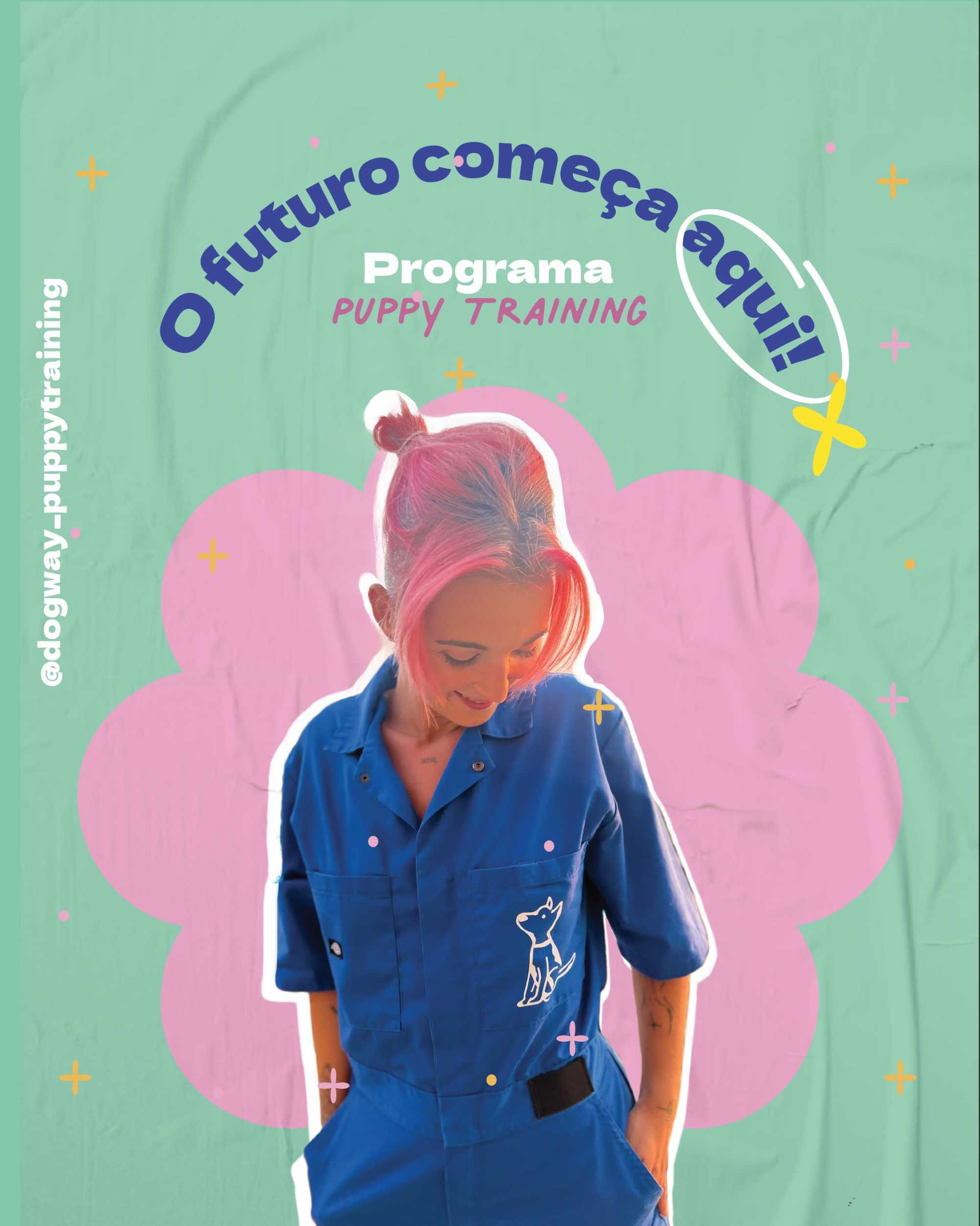 Treino de Cachorros com Métodos Positivos – DogWay