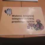 Dzienniczek pomiaru  temperatury przy  zaburzeniu cyklu miesiączkowego