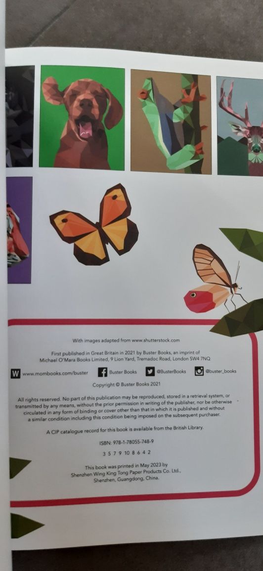 Livro de colorir novo