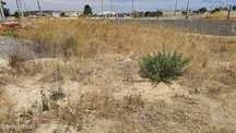 Terreno em Zona Central - Pinhal das Formas