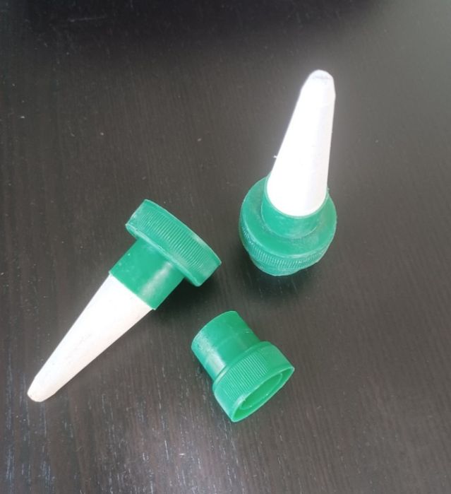 Plantas verdes e bem hidratadas