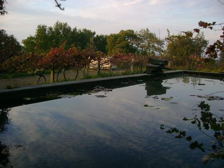 Propriedade 6000 M2, em S. Julião e Silva, Valença do Minho (9kms)