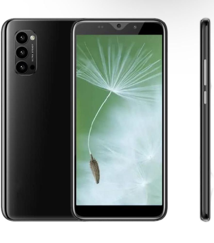 Telemóvel R-Series Preto