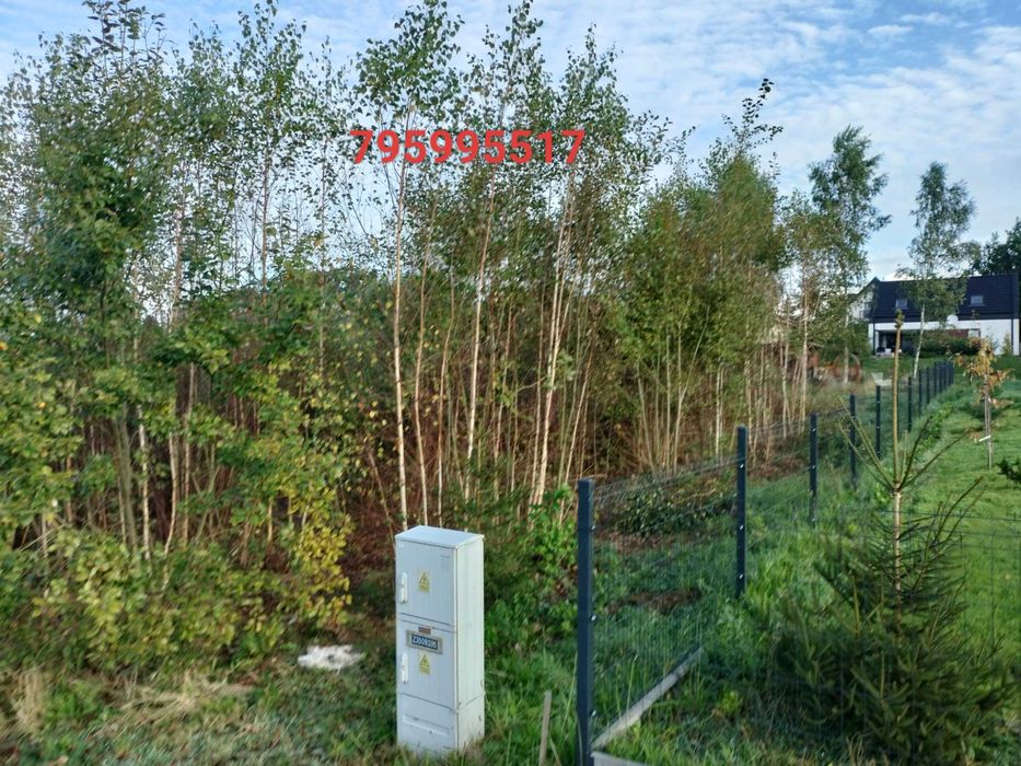 Mulczer leśny Wycinka drzew mulczowanie terenu oczyszczenie dzialek