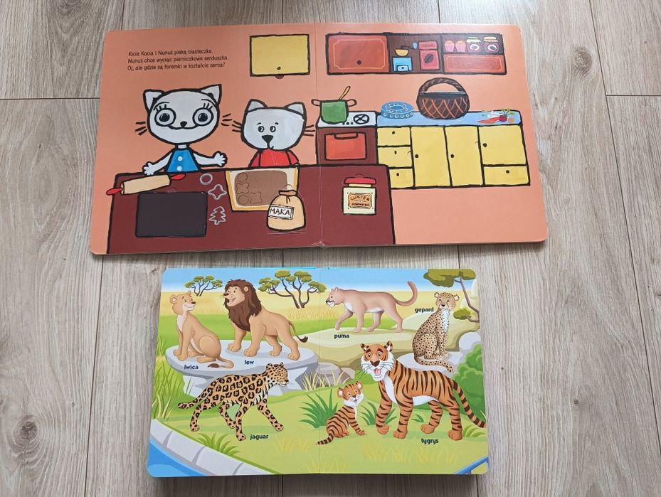 Książki kicia kocia