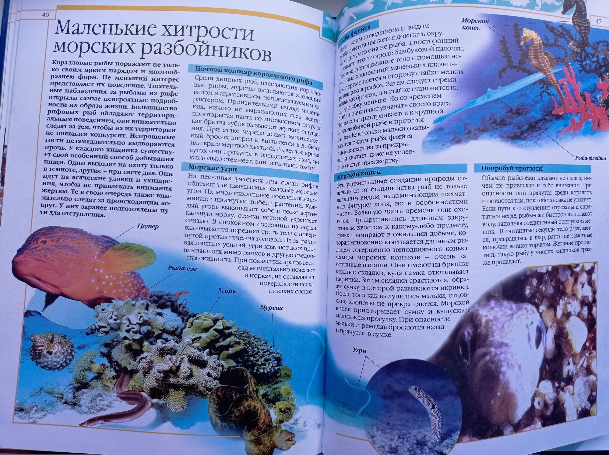 Книга для детей Большой Атлас Животных и Атлас подводного мира