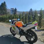 Honda nsr 125/50